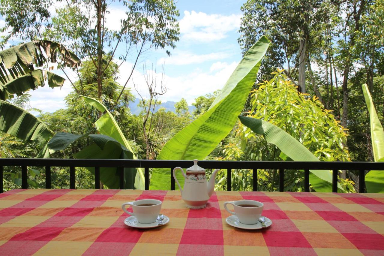 The Bliss Homestay Ella Extérieur photo