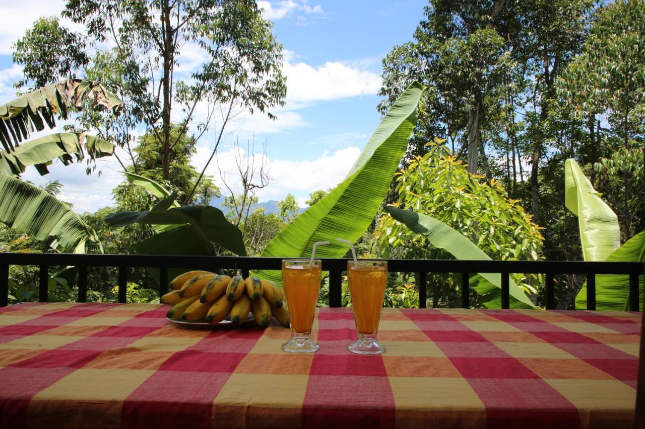 The Bliss Homestay Ella Extérieur photo