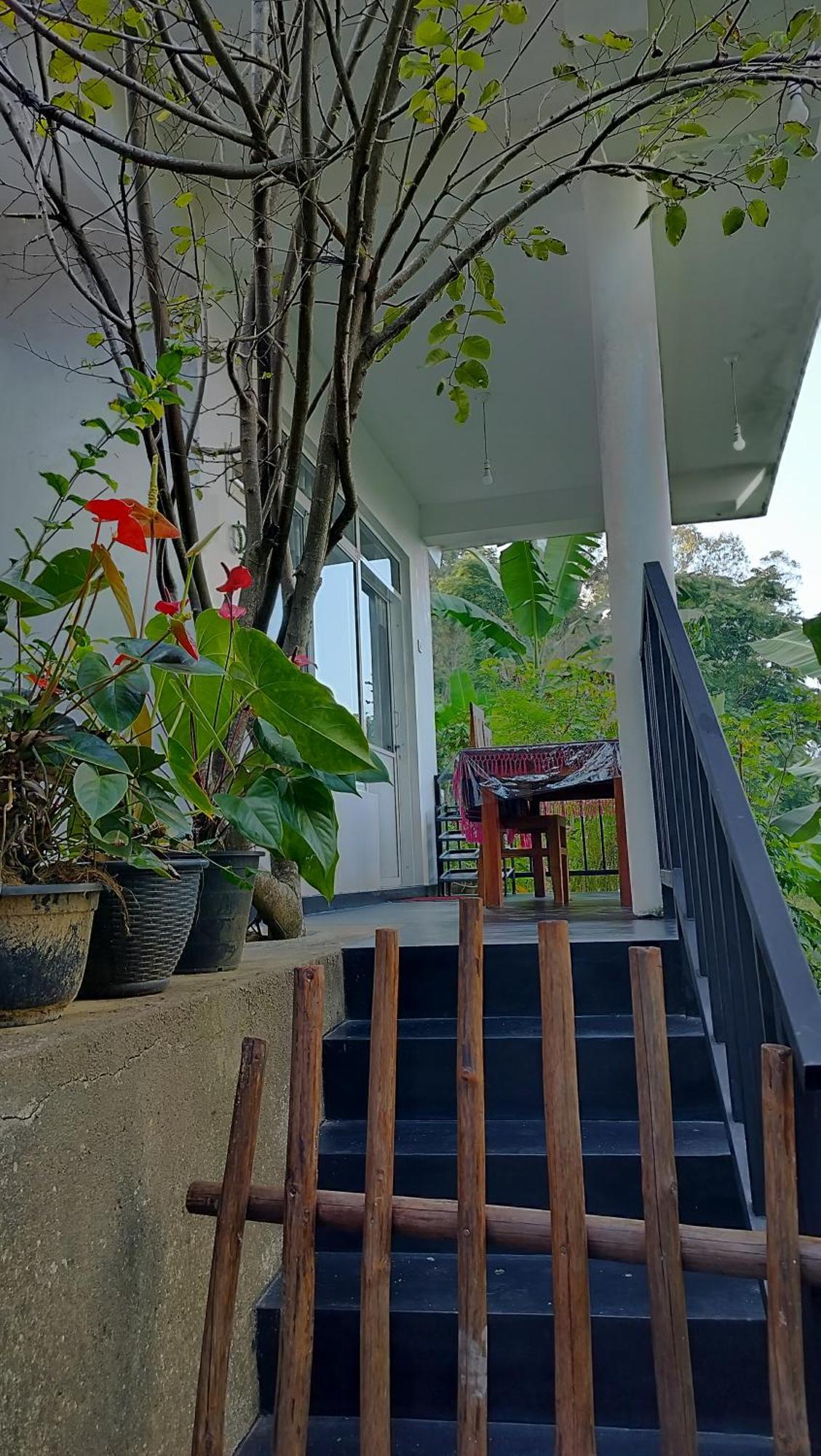 The Bliss Homestay Ella Extérieur photo