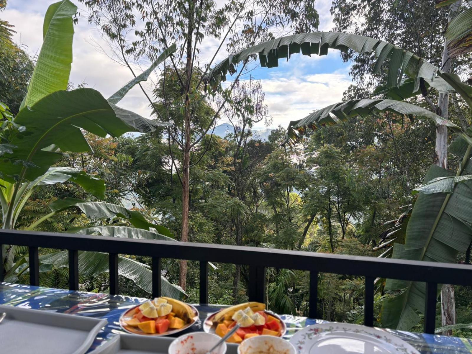 The Bliss Homestay Ella Extérieur photo